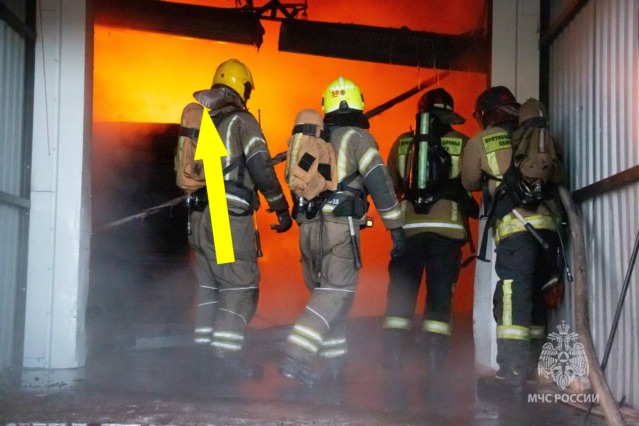 Собственница Wildberries может оказаться за решеткой