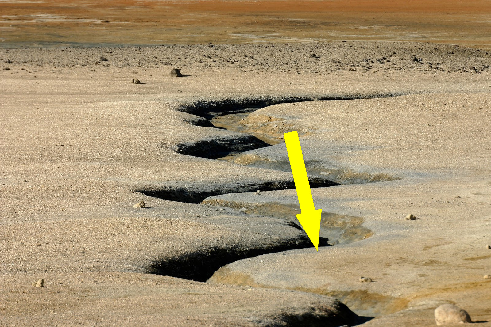 Крики из-под земли